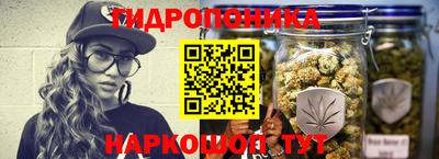 a pvp Обь
