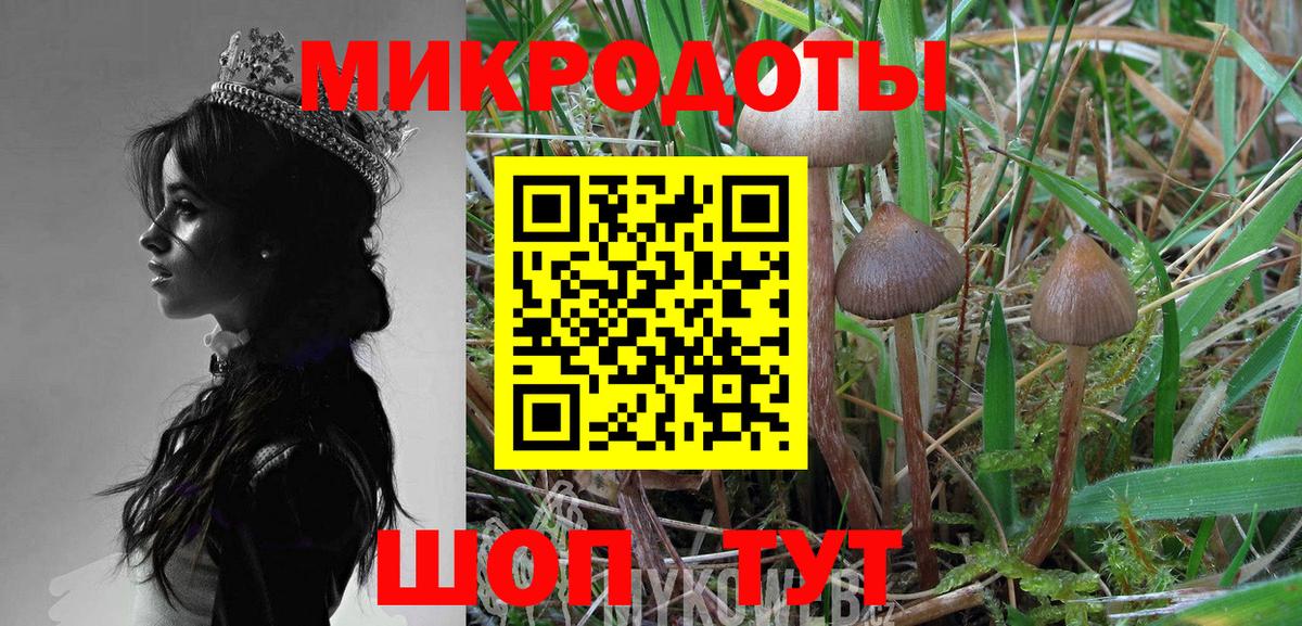 Галлюциногенные грибы GOLDEN TEACHER  Вход с VPN  Шелехов 